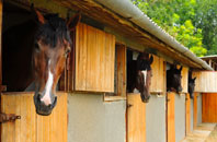 free Tincleton stable construction quotes